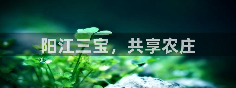 必一体育bsport2023-04-21