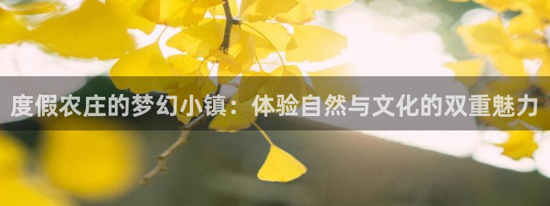 必一运动体