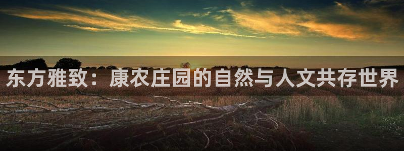 必一体育官网ios下载