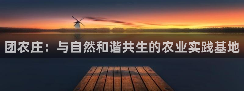 必一体育网址