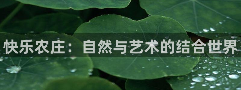 必一体育网页登陆