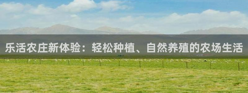 必一体育运动app