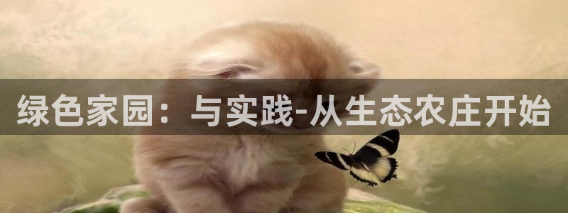 必一体育sport网页版