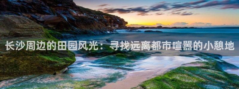 必一体育APP