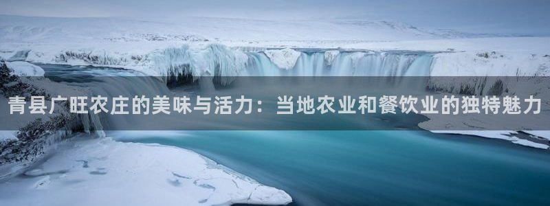 必一体育游戏特色