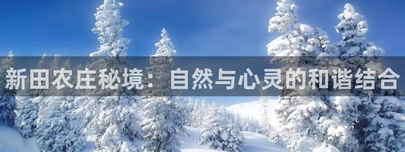必一体育sport网页版