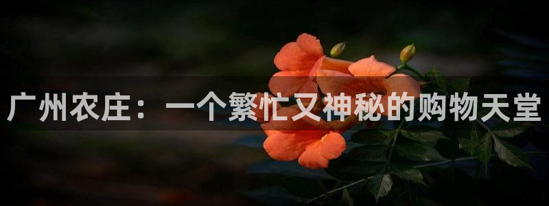 必一体育app下载