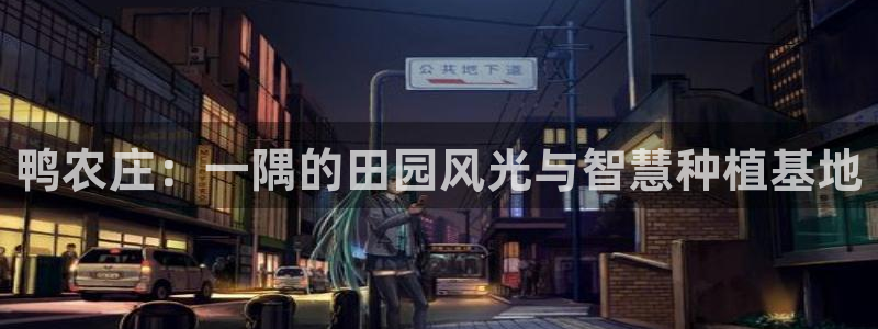 必一运动体育官网