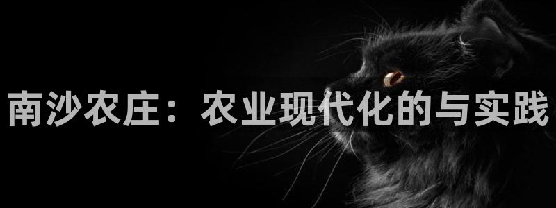 必一运动体育app