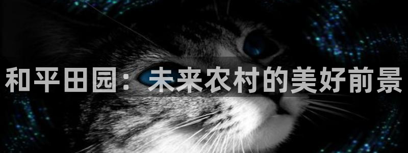 必一运动验证码