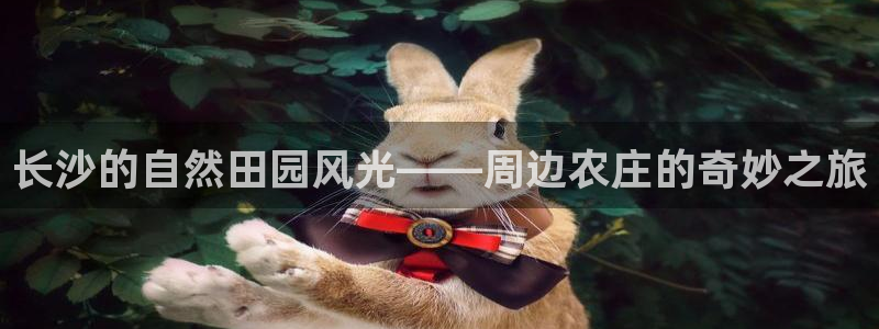 必一体育黑钱