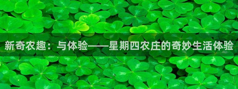 必一体育在线官网