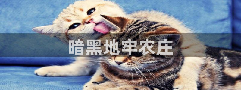 必一体育运动app下载