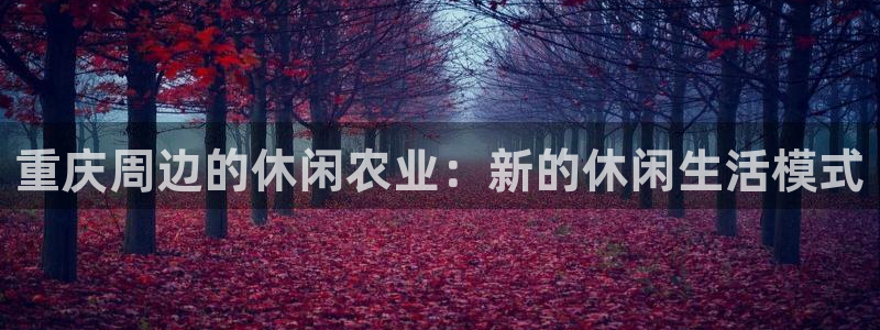 必一体育登入