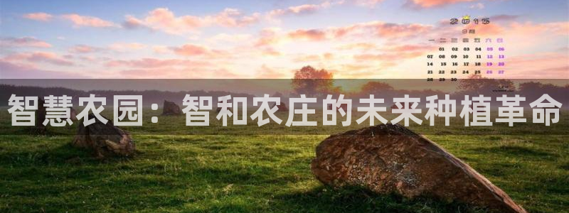 必一体育是啥
