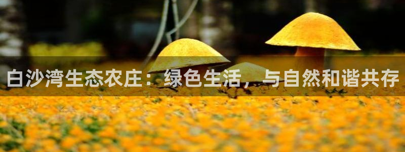 必一运动B-Sport官方网站入口
