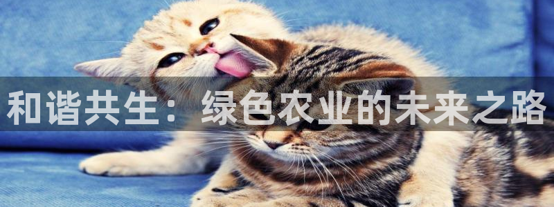 必一体育app官方网站