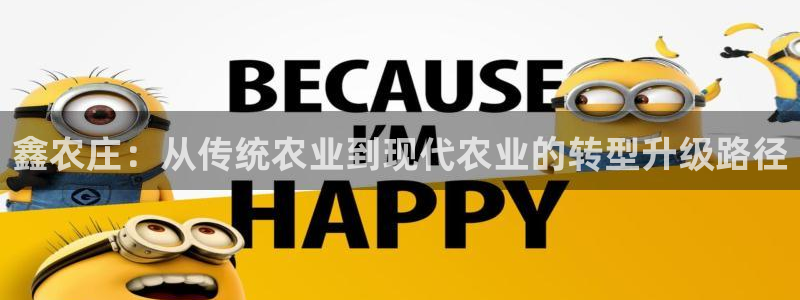 必一体育sport官方网站