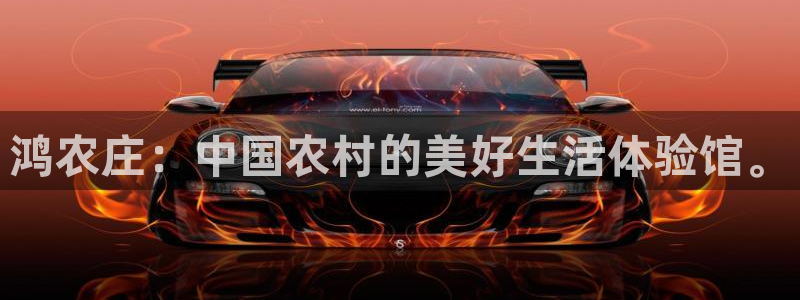 必一运动体