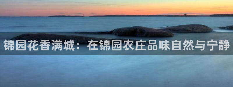 必一运动sport爱查股