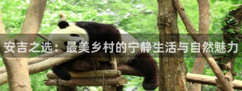 必一体育sport下载