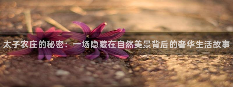 必一体育登入