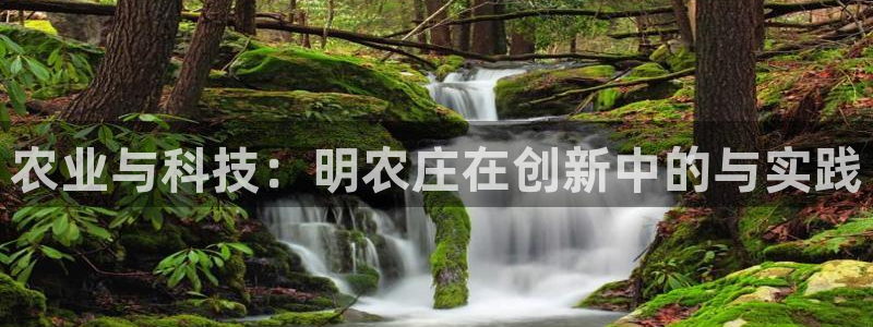 必一体育运动app