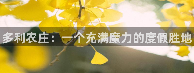 必一体育sport官方网站
