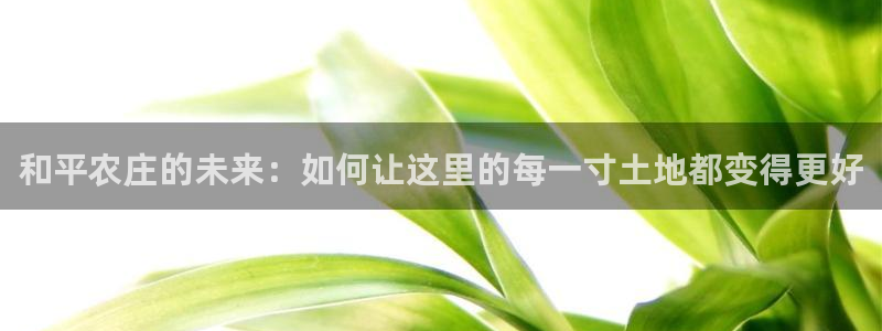 必一体育周公