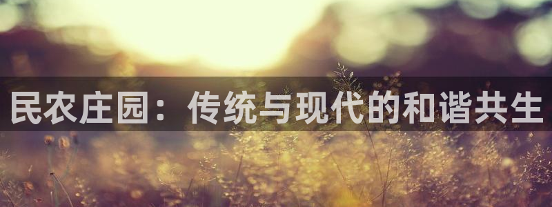 必一运动 b 体育素描版