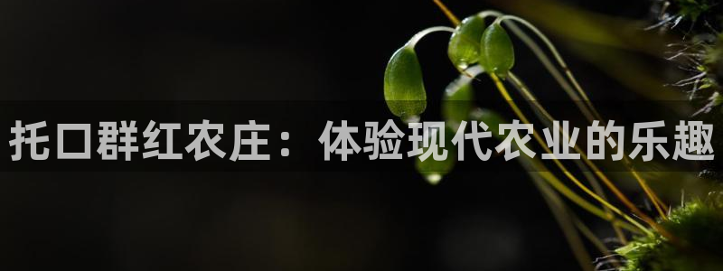 必一体育app官方下载入口