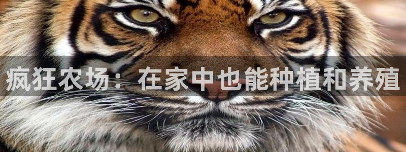 必一体育官方app下载