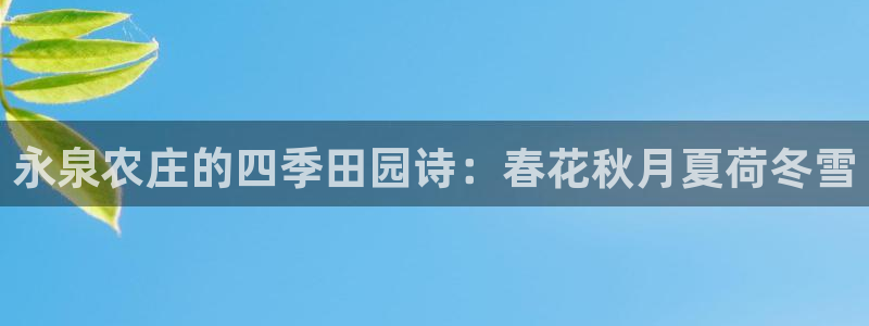 必一体育官方入口