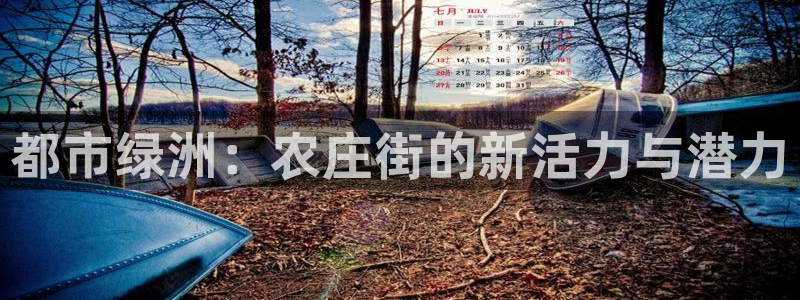 必一体育网页