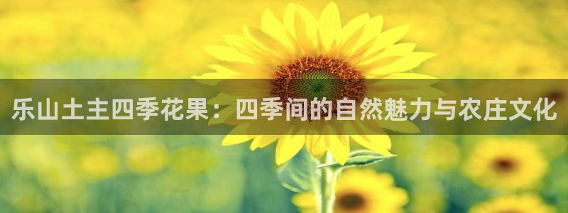 b体育必一下载