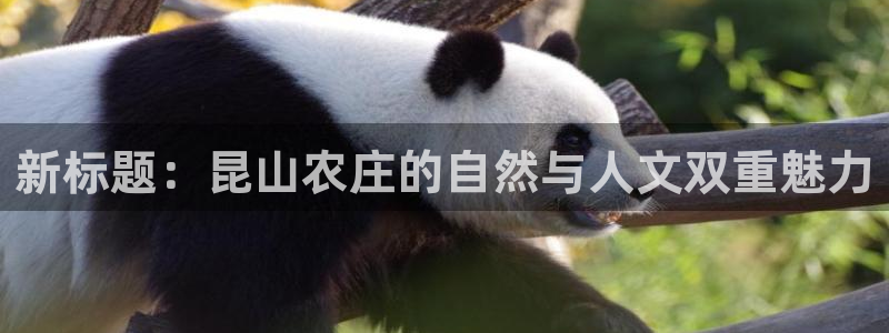 必一体育黑平台