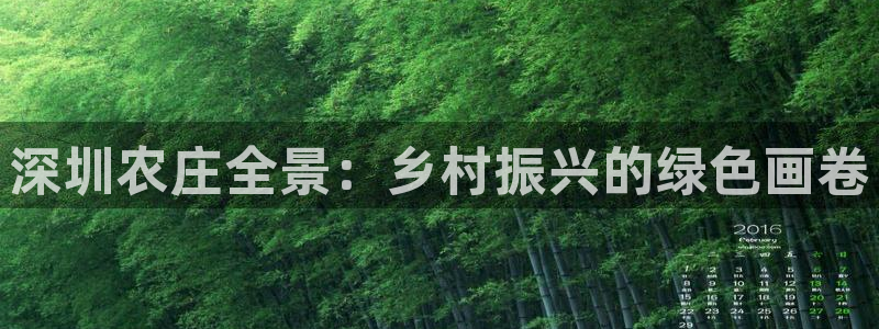 必一体育sportB体育