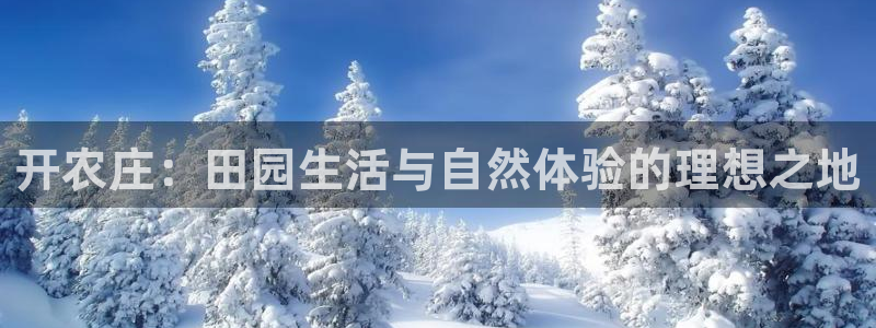 必一体育在线入口