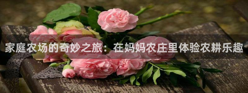 必一体育官网网站