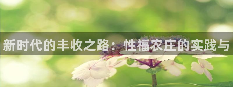 必一体育在线官网