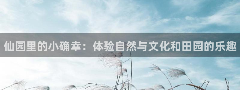 必一运动听的歌