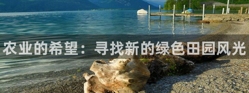 必一体育合法吗
