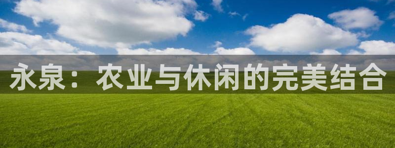 必一体育黑钱