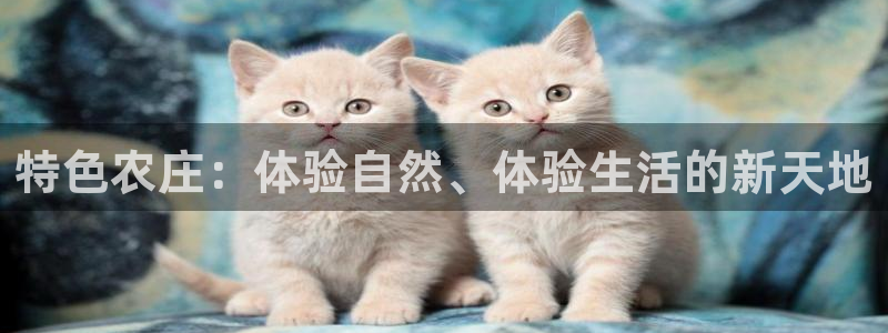 必一体育下载