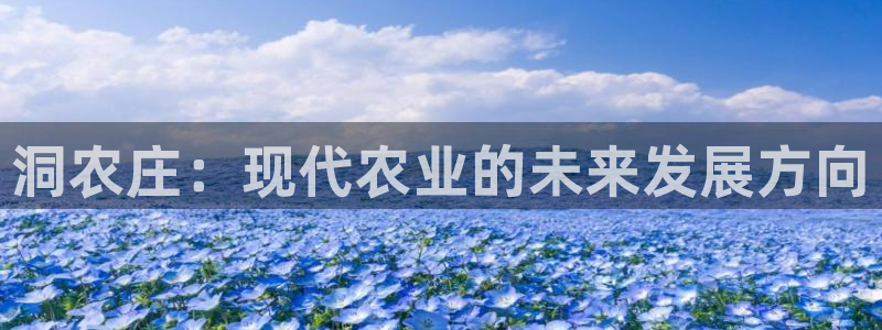 必一运动体育官网下载