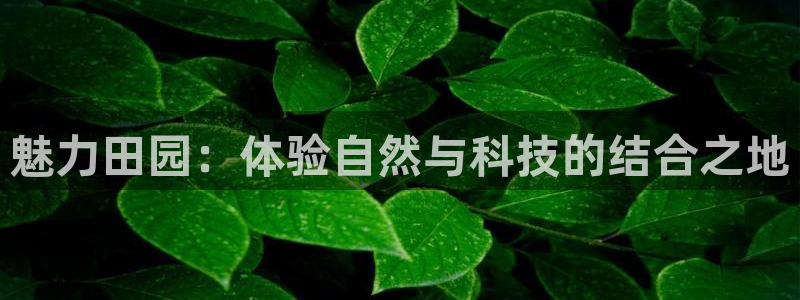 必一体育下载秀给网