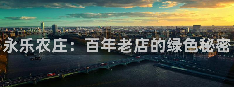 必一体育官网app