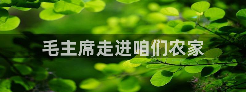 必一体育运动app下载