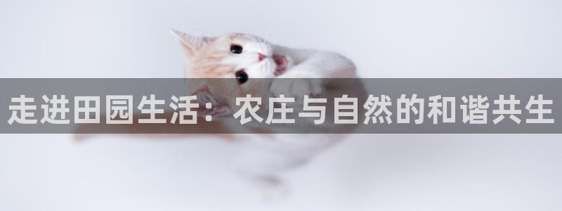 必一运动验证码