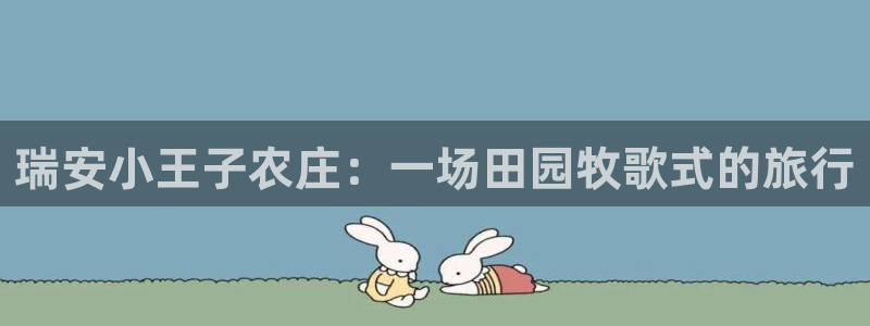 必一体育bsport下载